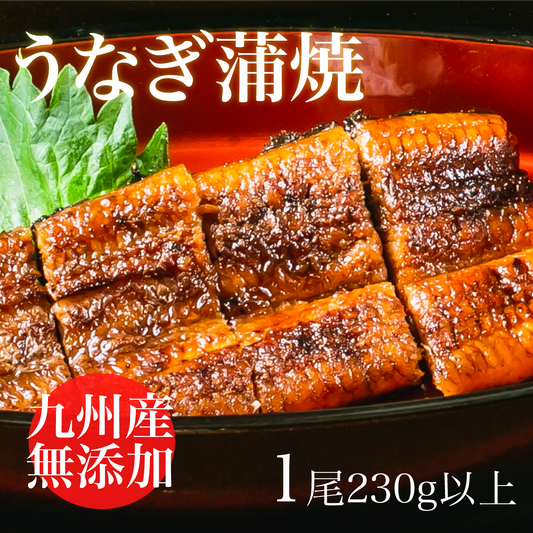 うなぎ蒲焼　宮崎産うなぎ　1尾230g以上
